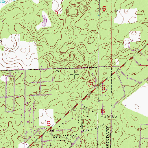 Topographic Map of Bronson Elementary School, FL