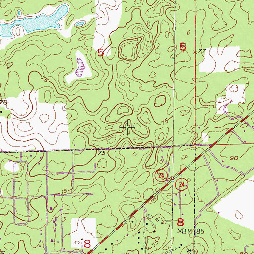 Topographic Map of Bronson Middle - High School, FL