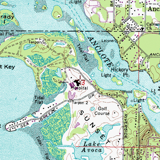 Topographic Map of Anclote Manor Hospital (historical), FL