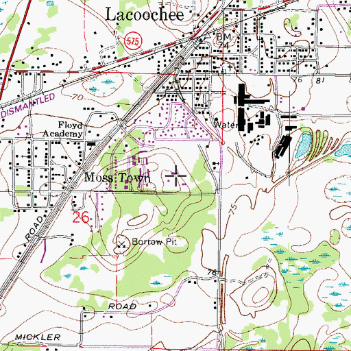 Topographic Map of Lacoochee Elementary School, FL