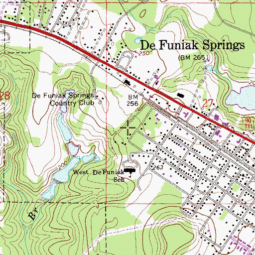 Topographic Map of Valley Springs Hospital, FL