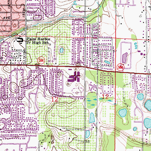 Topographic Map of Palm Harbor Middle School, FL
