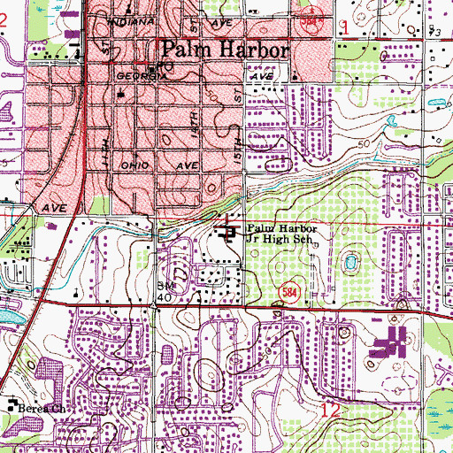 Topographic Map of Palm Harbor Elementary School, FL