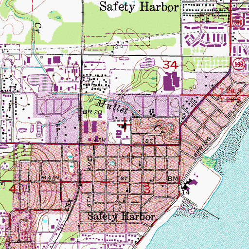 Topographic Map of Safety Harbor Elementary School, FL