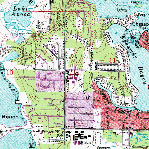 Topographic Map of Tarpon Springs Middle School, FL