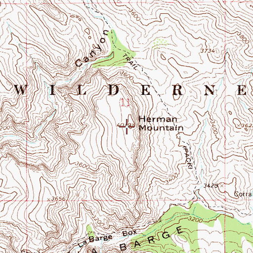 Topographic Map of Herman Mountain, AZ