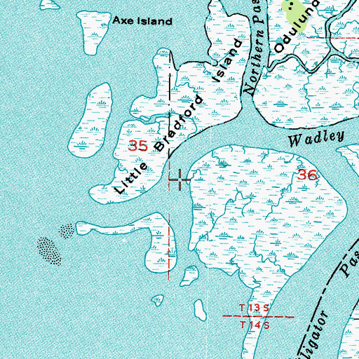 Topographic Map of Wadley Pass, FL