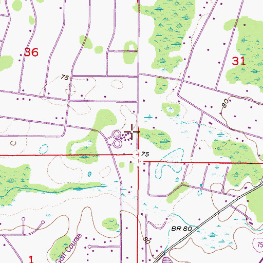 Topographic Map of Quail Hollow Elementary School, FL