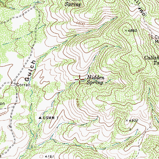 Topographic Map of Hidden Spring, AZ