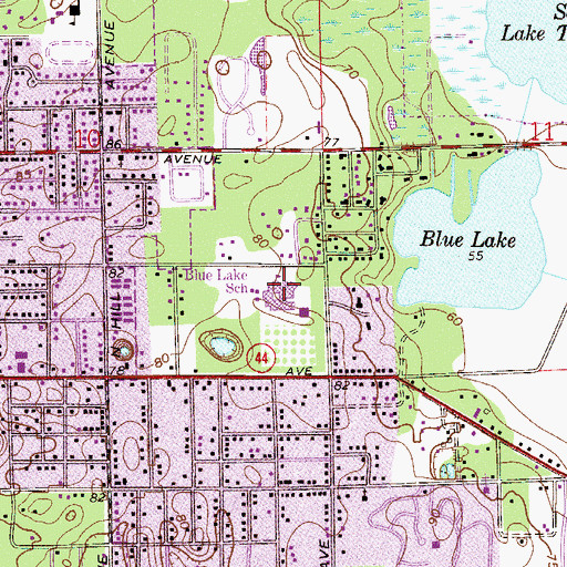 Topographic Map of Blue Lake Elementary School, FL