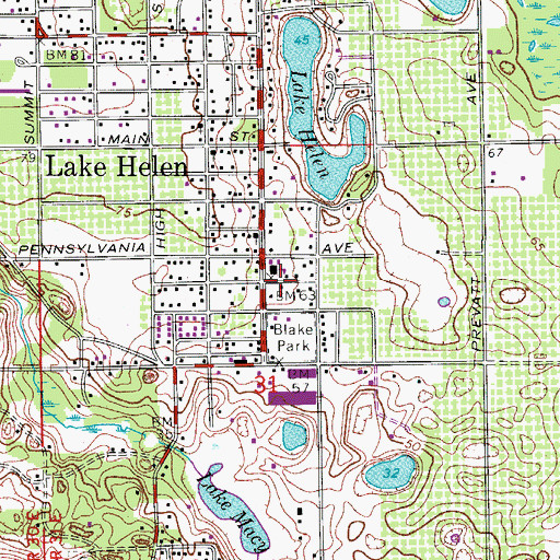 Topographic Map of Minerva Bond Long-Lake Helen Elementary School, FL