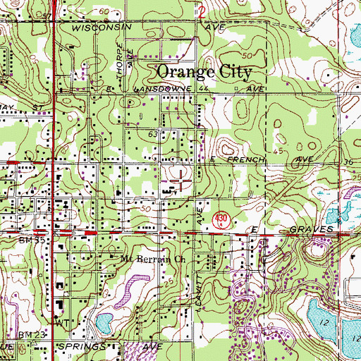 Topographic Map of Orange City Elementary School, FL