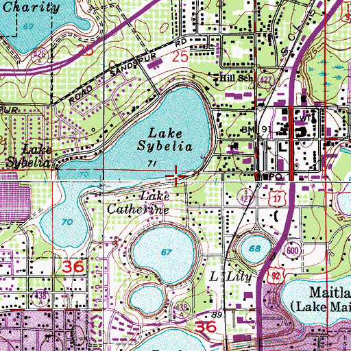 Topographic Map of Saint Johns Orthodox Church, FL