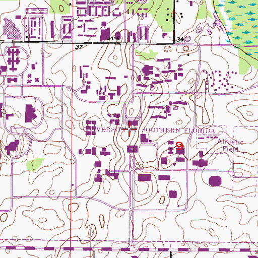 Topographic Map of University of South Florida, FL