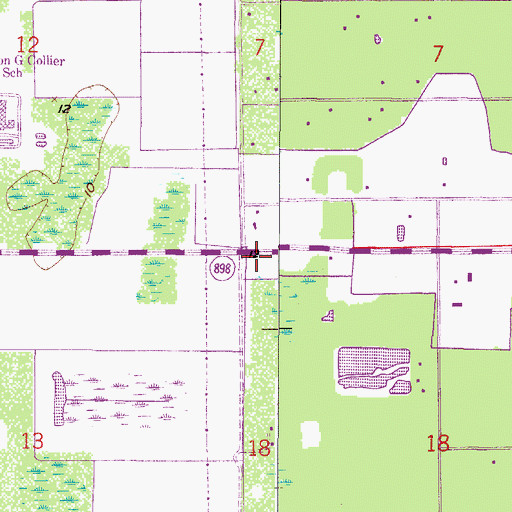 Topographic Map of Community School of Naples, FL