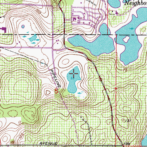 Topographic Map of Prays Pond, FL