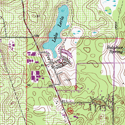 Topographic Map of Mount Plymouth Lakes, FL