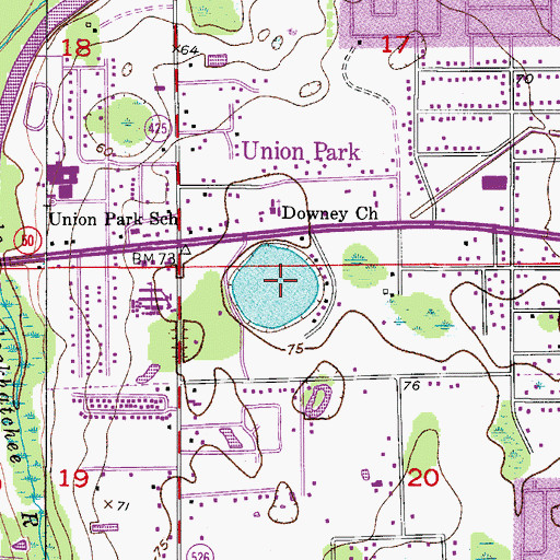 Topographic Map of Lake Downey, FL