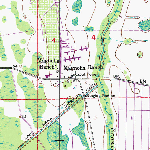 Topographic Map of Magnolia Fire Tower, FL
