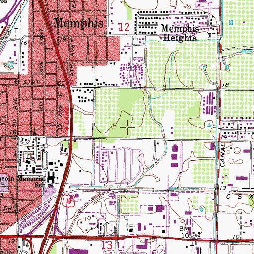 Topographic Map of Palmetto Junction, FL
