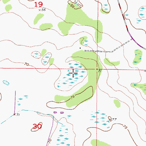 Topographic Map of Mobley Pond, FL