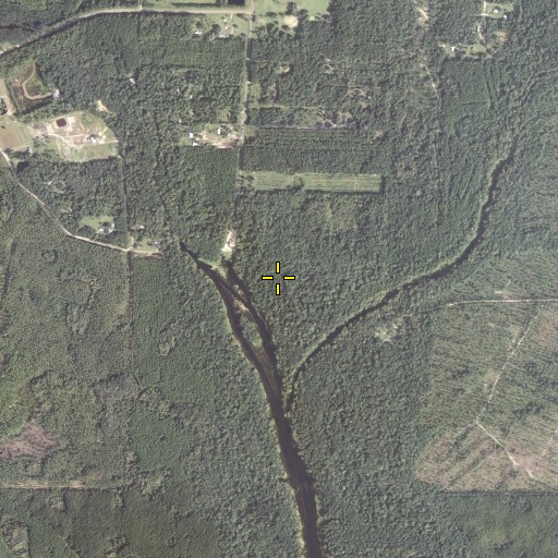 Aerial/Satellite Image of Aucilla Spring, FL