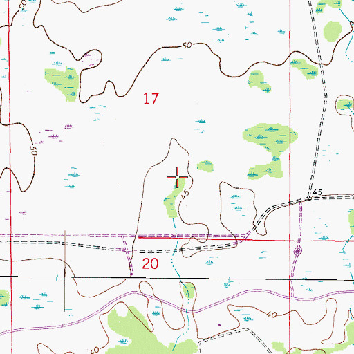 Topographic Map of Hillsborough Wildlife Management Area, FL