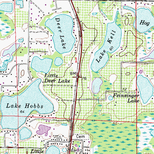 Topographic Map of Deer Park, FL