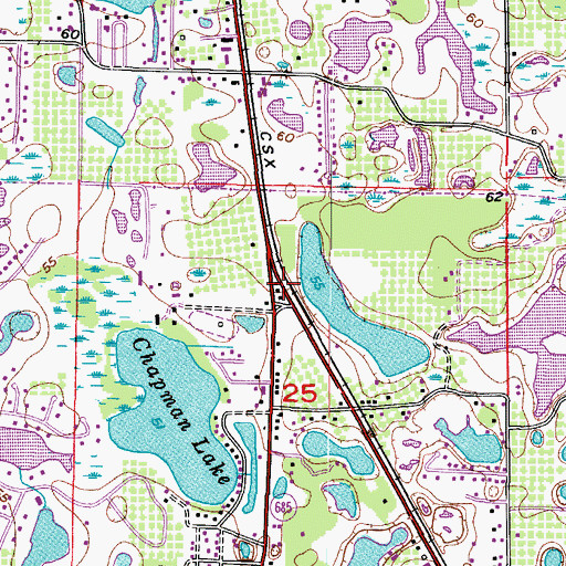 Topographic Map of Chapman, FL