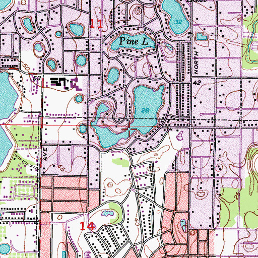 Topographic Map of Lake Eckles, FL