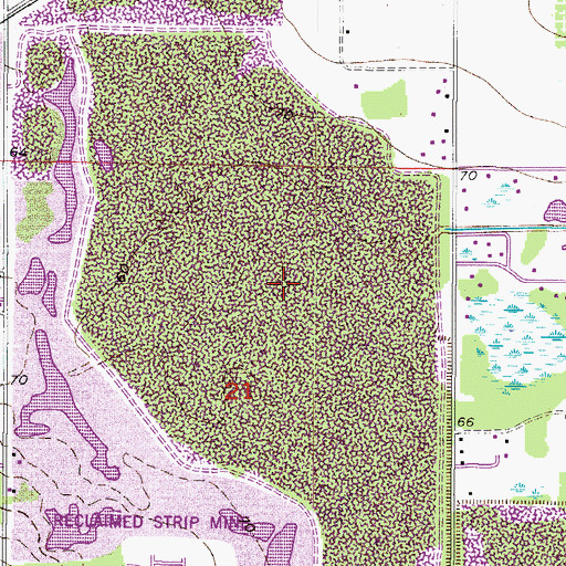 Topographic Map of Williams Swamp, FL