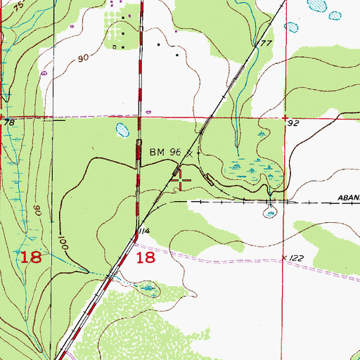 Topographic Map of South Boyette Railroad Station, FL