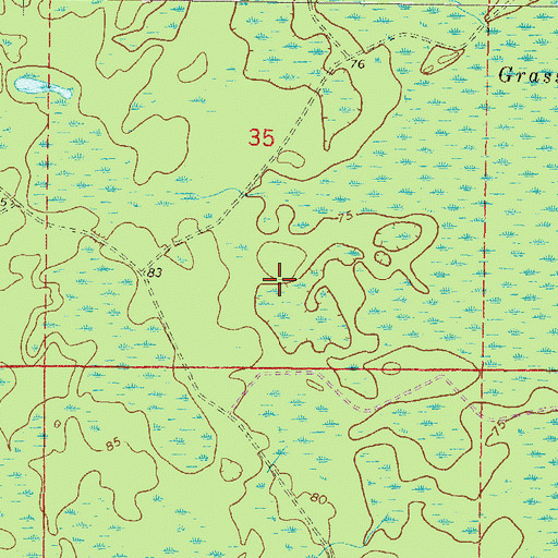 Topographic Map of Waccasassa Flats, FL
