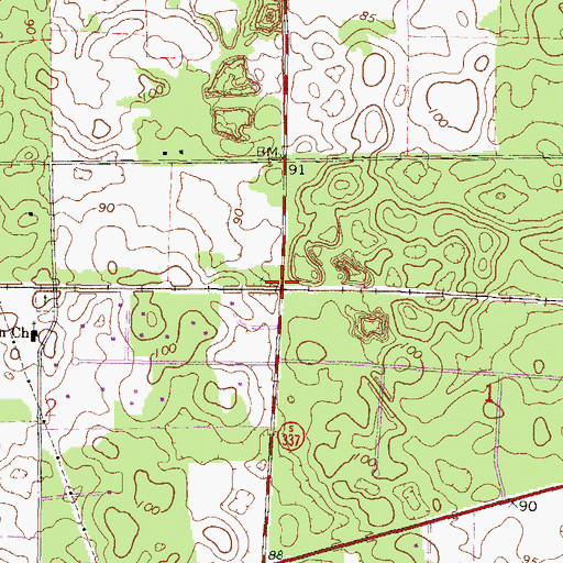 Topographic Map of Iris Railroad Station, FL