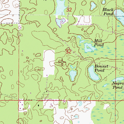 Topographic Map of Mutual, FL