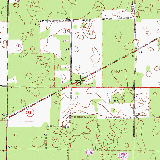 Topographic Map of Curtis, FL