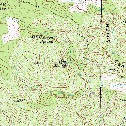 Topographic Map of Hog Spring, AZ