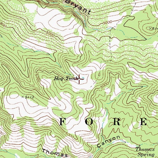 Topographic Map of Hog Tank, AZ