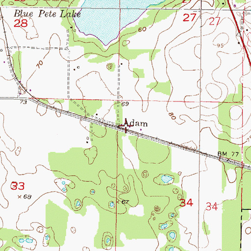 Topographic Map of Adam, FL
