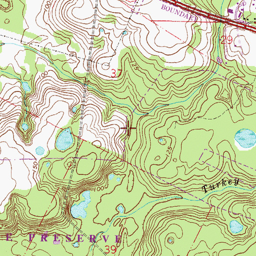 Topographic Map of Domingo Fernandez Grant, FL