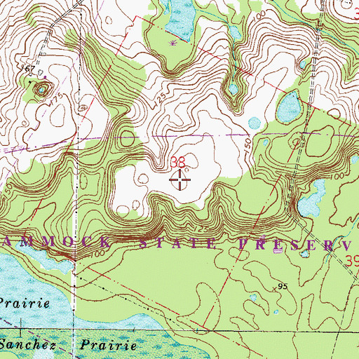 Topographic Map of John Sanchez Grant, FL