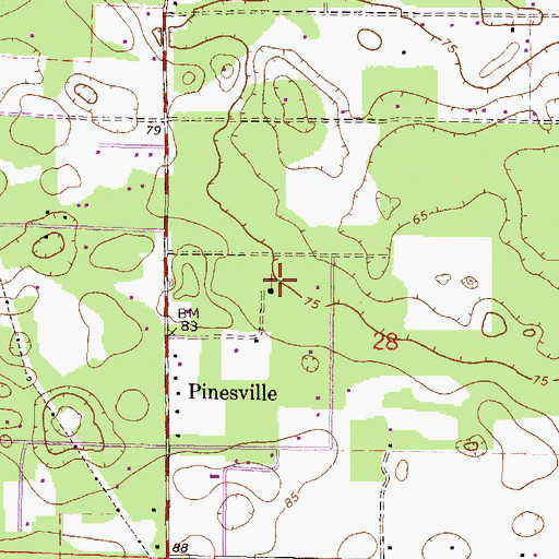 Topographic Map of Pineville Church, FL