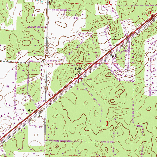 Topographic Map of Palmer Railroad Station, FL