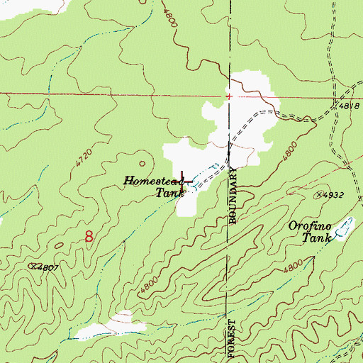 Topographic Map of Homestead Tank, AZ