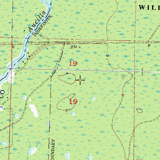 Topographic Map of Mandalay, FL