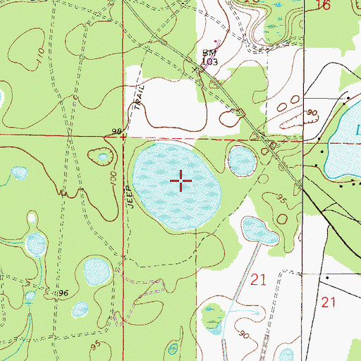 Topographic Map of Lake Issue, FL