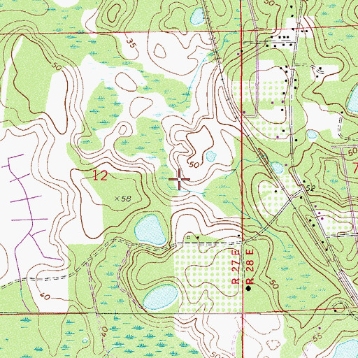Topographic Map of Hammond, FL
