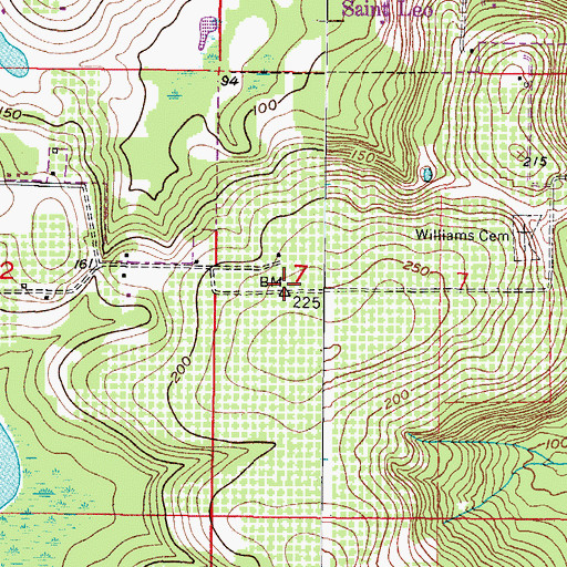 Topographic Map of Saint Leo Tower, FL