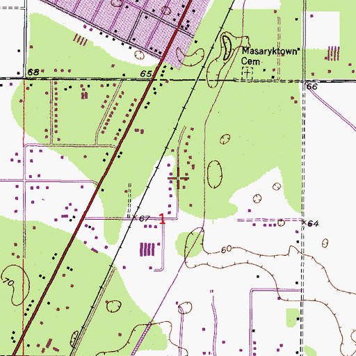 Topographic Map of South Masaryktown, FL