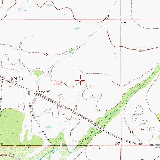 Topographic Map of White Hammock, FL